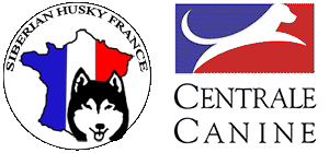 SHC centrale canine