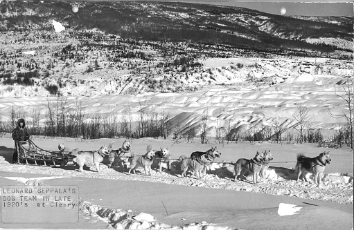 Origines du Siberian Husky