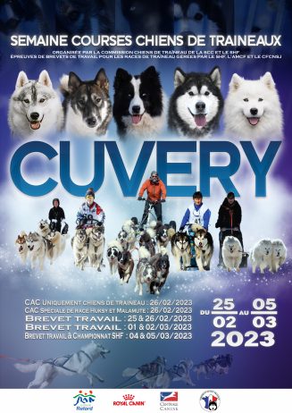 Semaine courses chiens de Traineaux