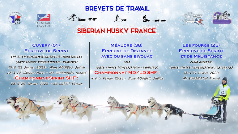 Calendrier Brevets de Travail