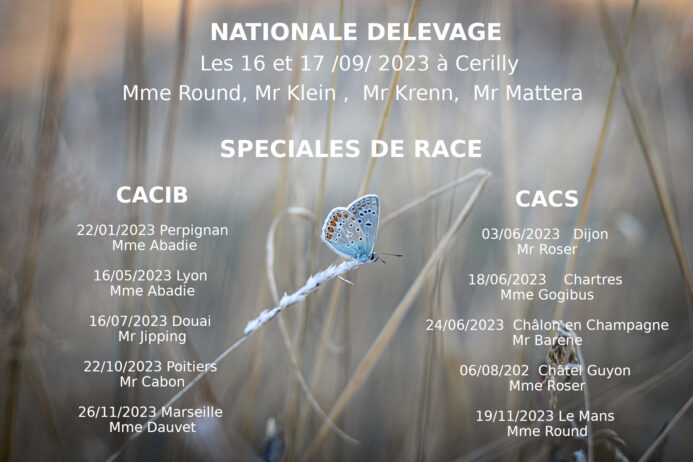 Calendrier SHF 2023 - NE et Spéciales de Race