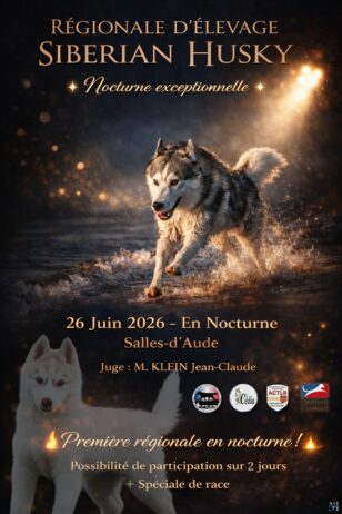 Régionale d'élevage Salle d'Aude 2026 (Lunel) Nocturne